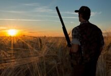 В Германии увеличивается количество охотников