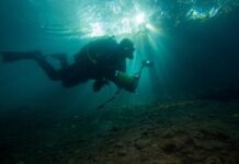 Найденная в Балтийском море шифровальная машина «Энигма» будет реставрирована