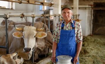 Фермеры блокируют склад Lidl: дискаунтер призывает к «экстренному саммиту»