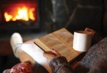 В Германии наблюдается повышенный спрос на дровяные печи и камины