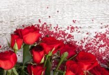 После выздоровления от коронавируса Гермине Гилльманн отмечает столетний юбилей