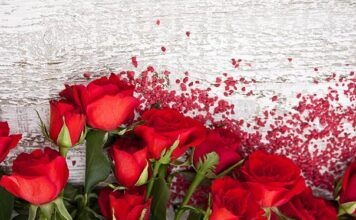 После выздоровления от коронавируса Гермине Гилльманн отмечает столетний юбилей
