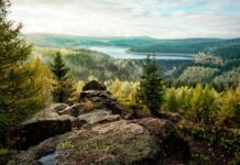 Брюссель подаёт на Германию в Европейский суд из-за недостаточного количества заповедников