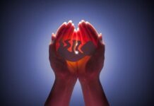 Количество случаев искусственного оплодотворения достигло в Германии новой рекордной отметки