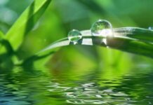 Федеральное ведомство предупреждает о дефиците питьевой воды