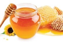 Будет ли в этом году дефицит мёда?