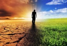 Глобальное потепление особенно ощущается в Германии