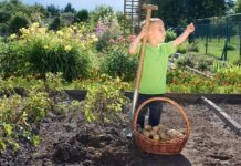 В Германии наблюдается бум садоводства