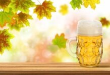 Пиво без Октоберфеста и надежда на Октоберфест 2022 года © K.-U. Häßler - Fotolia.com