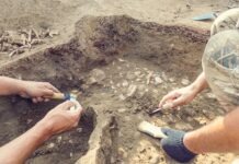 Марбургские студенты-археологи обнаружили средневековые солнечные часы