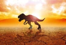 Грозит ли человечеству участь динозавров?