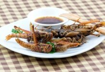 ЕС разрешил употреблять саранчу в пищу