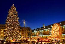 Где находится самая большая рождественская ёлка Германии?