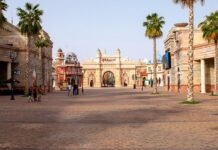 Курьезные рекорды уходящего года