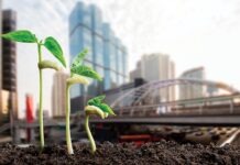 С 2022 года охрану природы в Гессене объединит Новый центр биоразнообразия