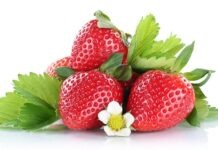 Сезон клубники в Гессене