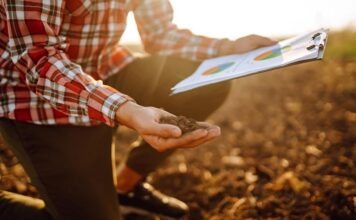 В Германии дорожают продукты питания