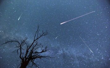 Жители Германии могут наблюдать звёздный дождь Персеид