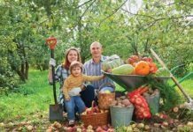 В Германии уменьшается количество садов, но увеличивается производство органических фруктов