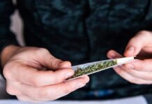 Растет употребление каннабиса