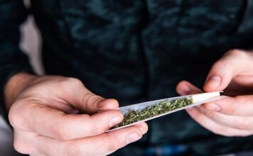 Растет употребление каннабиса