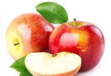 В Гессене идёт сбор урожая яблок 2022 года