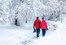 Во время пандемии выросла популярность зимнего пешего туризма