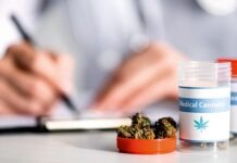 Плюсы и минусы легализации каннабиса