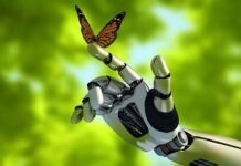 Для мониторинга дикой природы будет использован искусственный интеллект