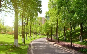 Франкфурт планирует использовать озеленение города для обеспечения прохлады