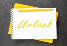 Активисты «Последнего поколения» объявили о трёхнедельном перерыве