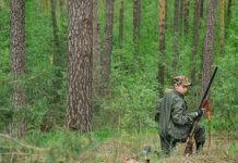 Во Всемирный день рейнджеров в Германию прибыли израильские рейнджеры