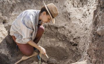 В Райхельсхайме обнаружено поселение каменного века