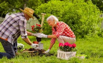 Немецкие ортопеды считают садовые работы средством защиты от болей в спине