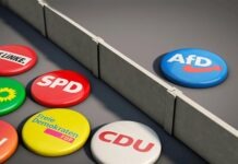 Депутаты AfD демонстративно сближаются с окружением Дональда Трампа