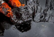 Крупная утечка нефти в Бранденбурге: работают спасатели и спецтехника