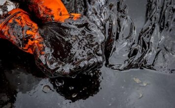 Крупная утечка нефти в Бранденбурге: работают спасатели и спецтехника