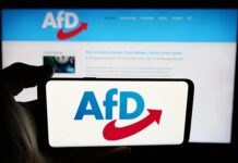 AfD заявляет о планах победить в Саксонии-Анхальт: внутри партии обсуждают проект «правительственной программы»