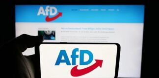 AfD заявляет о планах победить в Саксонии-Анхальт: внутри партии обсуждают проект «правительственной программы»