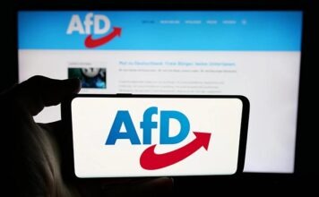 AfD заявляет о планах победить в Саксонии-Анхальт: внутри партии обсуждают проект «правительственной программы»