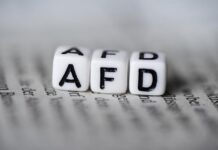 Внутренний конфликт в AfD: борьба за курс и влияние