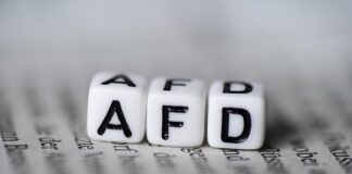 Каждый пятый немец готов покинуть Германию в случае прихода AfD к власти