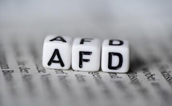 Внутренний конфликт в AfD: борьба за курс и влияние