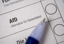 AfD в Саксонии-Анхальт: черновик программы к выборам в ландтаг