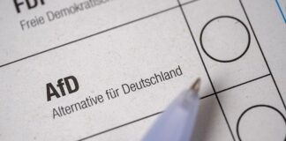 AfD в Саксонии-Анхальт: черновик программы к выборам в ландтаг