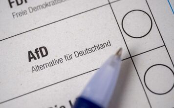 AfD в Саксонии-Анхальт: черновик программы к выборам в ландтаг