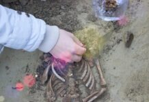 В Маастрихте найден скелет, который может принадлежать д’Артаньяну: экспертиза ДНК даст окончательный ответ