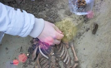 В Маастрихте найден скелет, который может принадлежать д’Артаньяну: экспертиза ДНК даст окончательный ответ