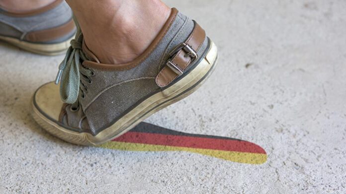 Cactii - Depositphotos