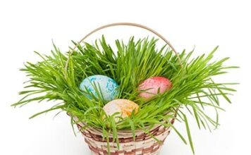 Пасхальный скандал: PETA требует запретить освящение яиц в Германии